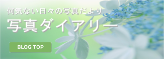 写真ダイアリー新着情報